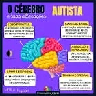 Imagem ilustrando genética e cérebro humano